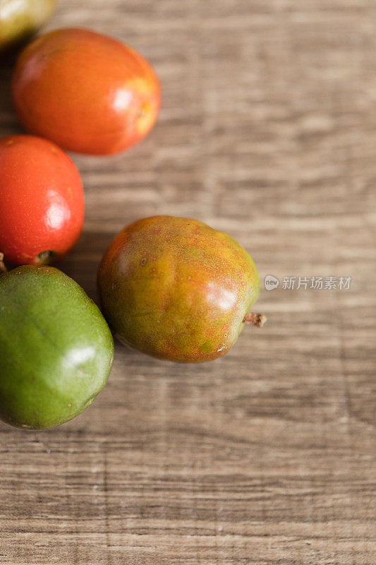 充满活力的红色，黄色和绿色紫Spondias Purpurea - Chiapas Mombin也被称为西班牙李子从一个后院的树在南佛罗里达